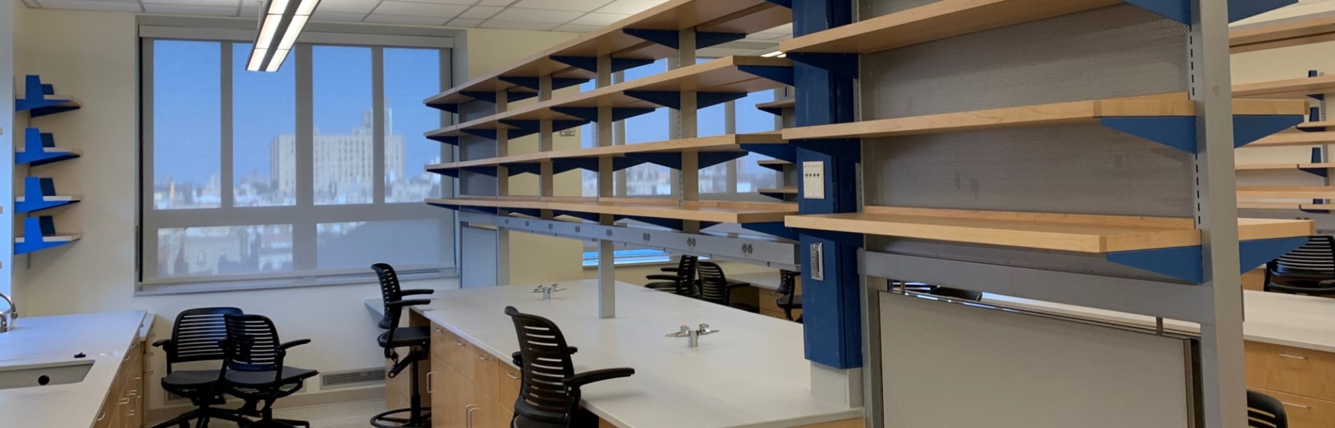 A newly renovated wet laboratory space, clean and ready for move-in.