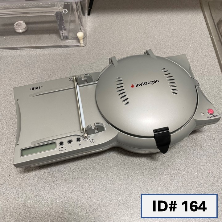 Gel transfer system, Invitrogen iBlot - ID# 164